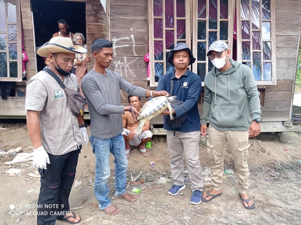 Warga Desa Tapak Kuda Serahkan Tuntong Laut Kepada Balai Besar KSDA Sumatera Utara