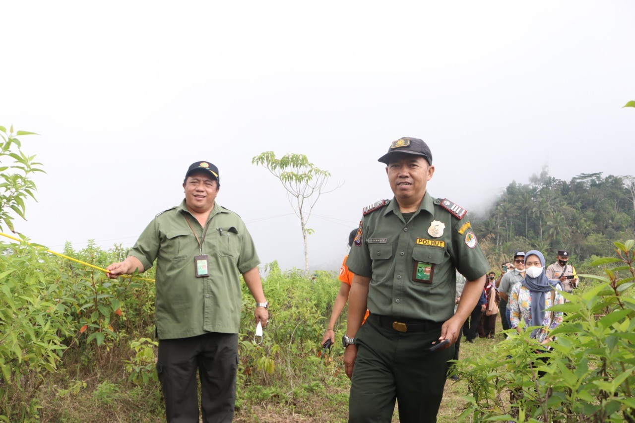 BKSDA Yogyakarta Release Satwa Liar Bersama Mitra Penggiat Konservasi
