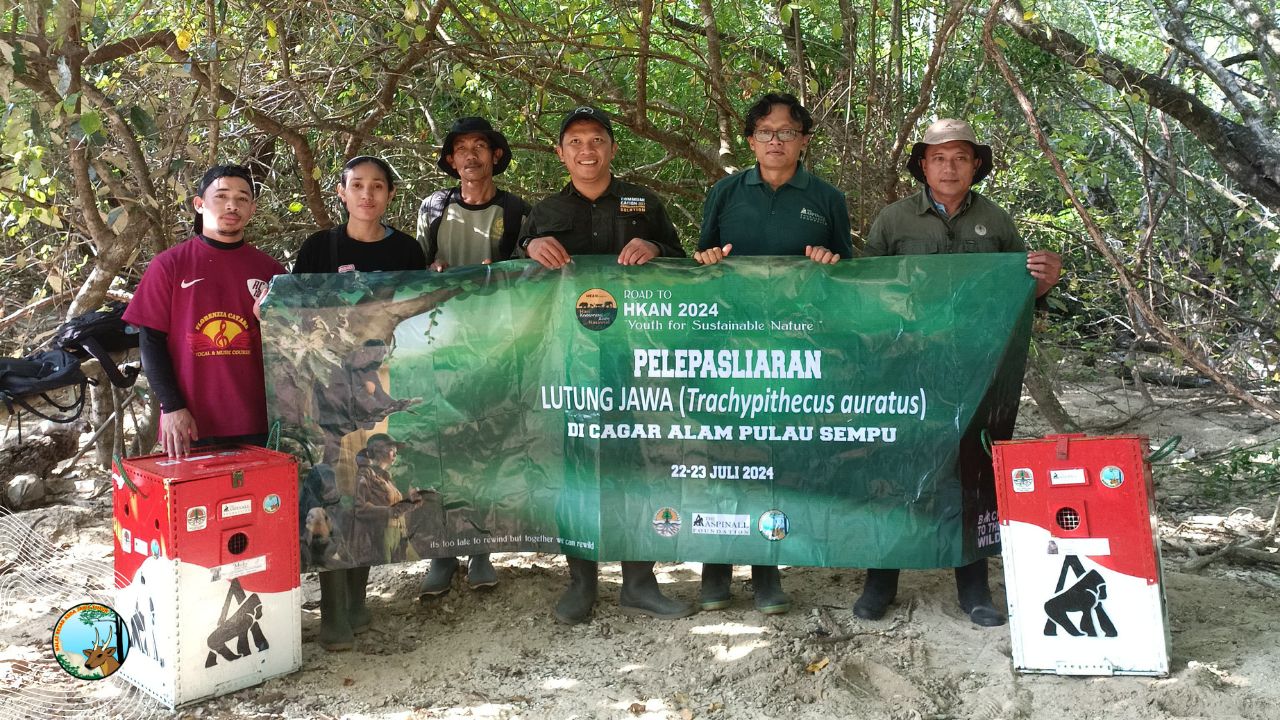 Lima Ekor Lutung Jawa Dilepasliarkan di Pulau Sempu