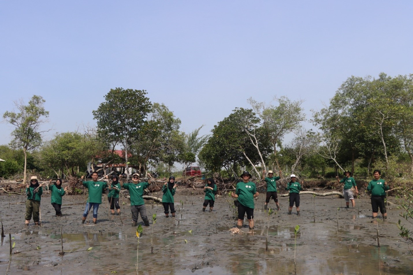 GLI dan BBKSDA Sumatera Utara Peringati Hari Mangrove Sedunia 2024