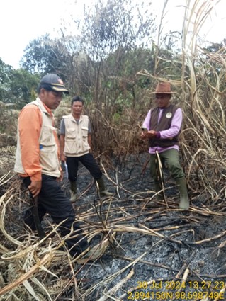 Kebakaran Hutan dan Lahan di Dusun Huta Tongah