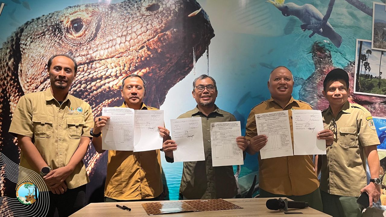 BBKSDA Jatim Translokasi Komodo ke BBKSDA Nusa Tenggara Timur