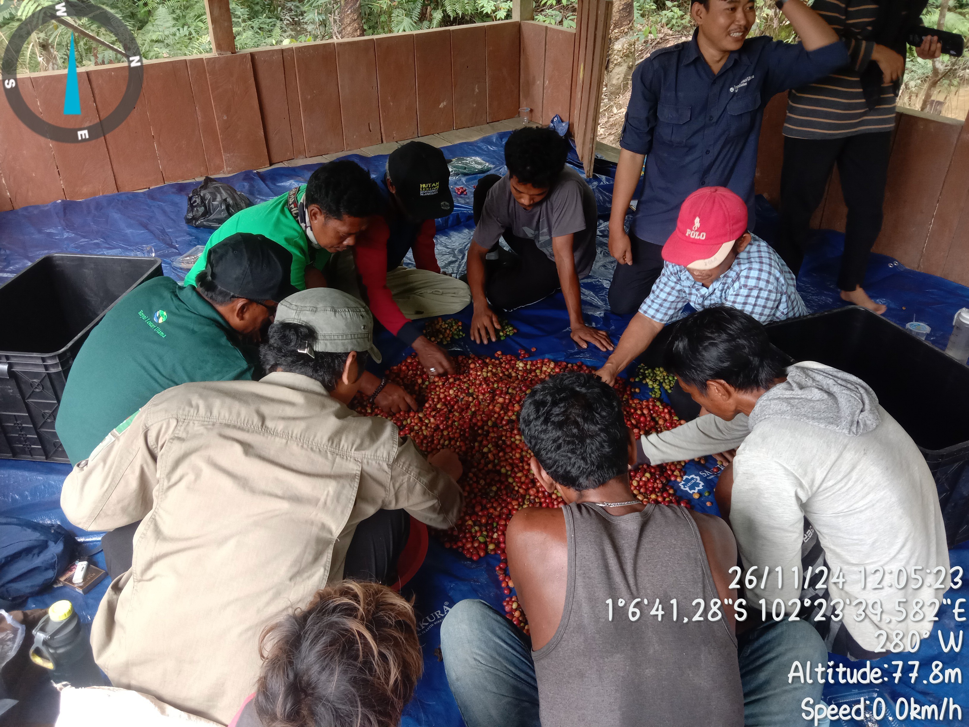 Balai TN Bukit Tiga Puluh Bersama Mitra Latih Suku Anak Dalam Budidaya dan Pengolahan Kopi