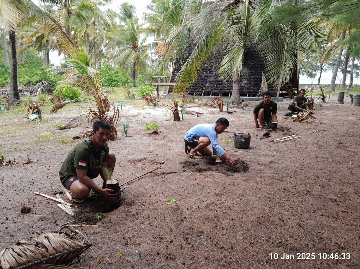 Hari Sejuta Pohon, Balai TN Taka Bonerate Tanam Cemara Laut di Pulau Tinabo dan Latondu