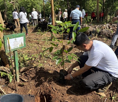 BBKSDA Sulawesi Selatan Penanaman Pohon Serentak Dukung Ketahanan Pangan