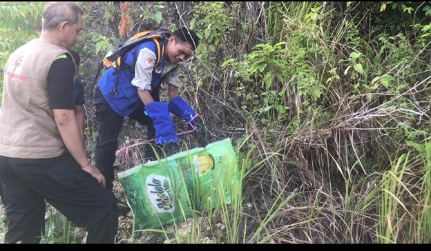 Aksi Perlindungan dan Penyelamatan Satwa Liar Kuskus Beruang