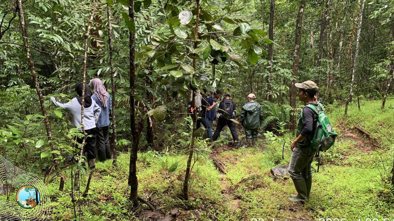 Mencermati Habitat Rusa Bawean Dan Babi Kutil