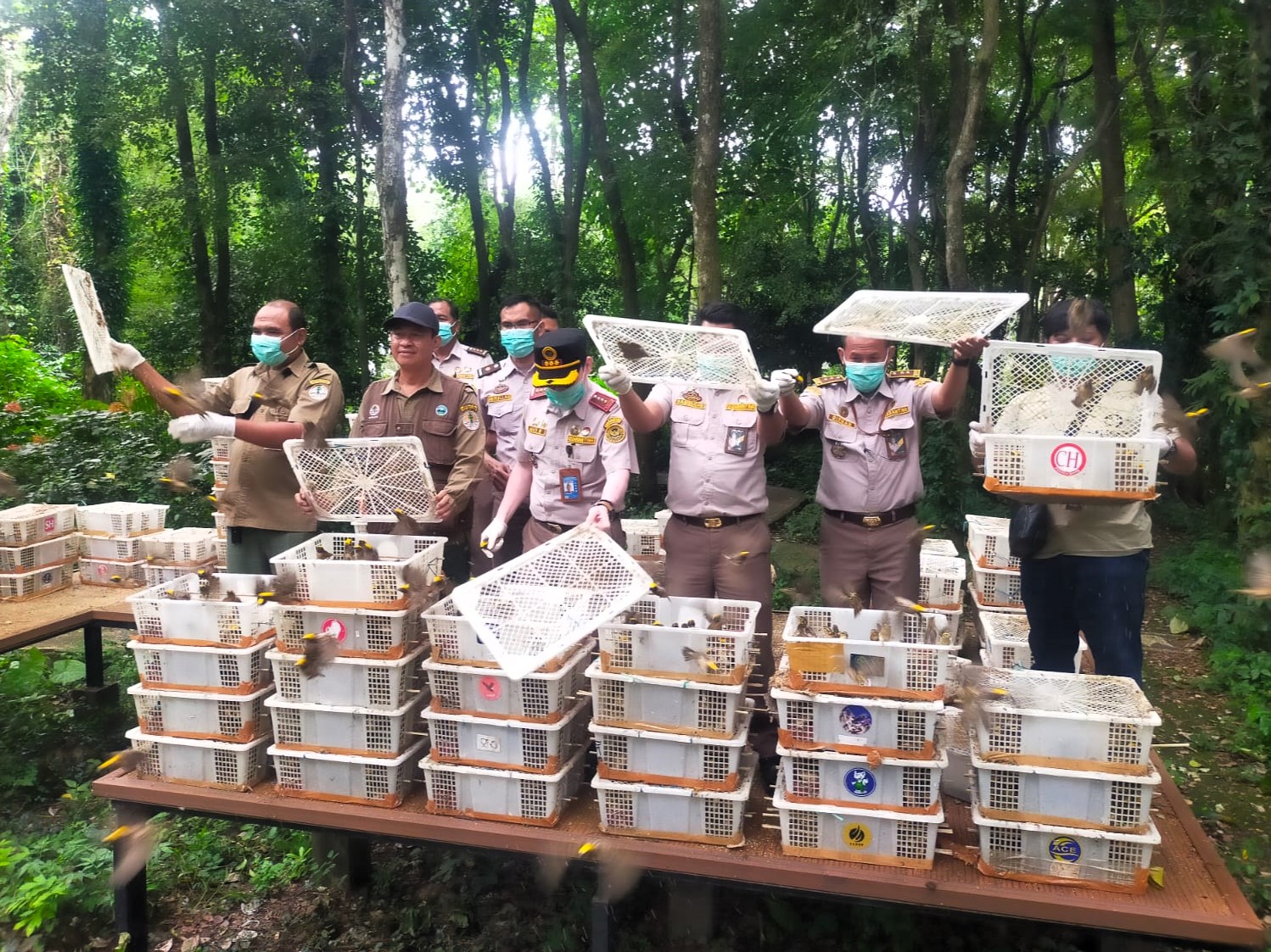 Ribuan Ekor Burung Dilepasliarkan di TWA Kerandangan, BKSDA NTB: Bukan Jenis Burung Dilindungi