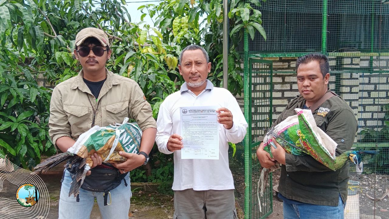 Evakuasi Satwa di Lamongan dan Gresik: Langkah Penting Lindungi Satwa Liar Dilindungi