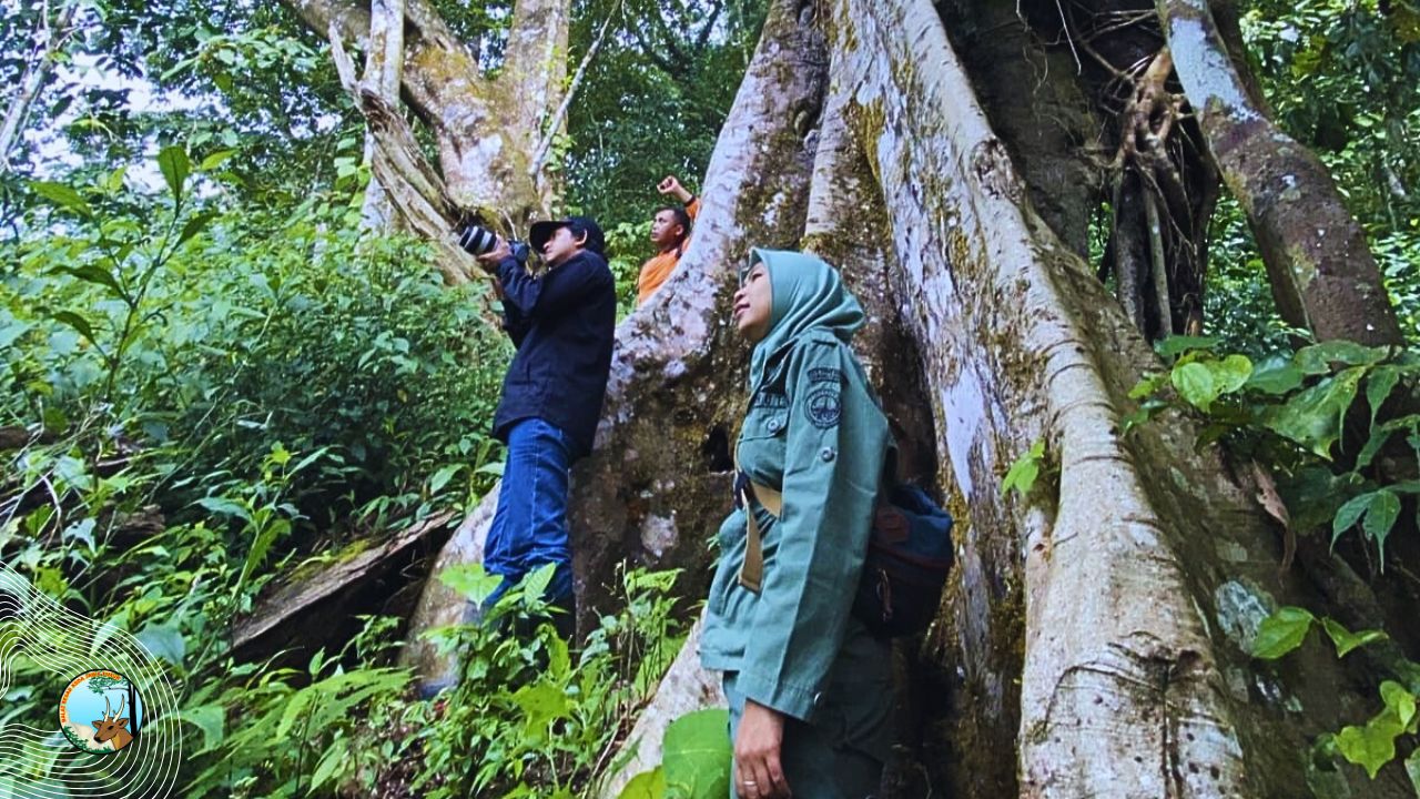 Patroli Kehati di Gunung Sigogor dan Gunung Picis: Kawasan Aman, Ekosistem Sehat