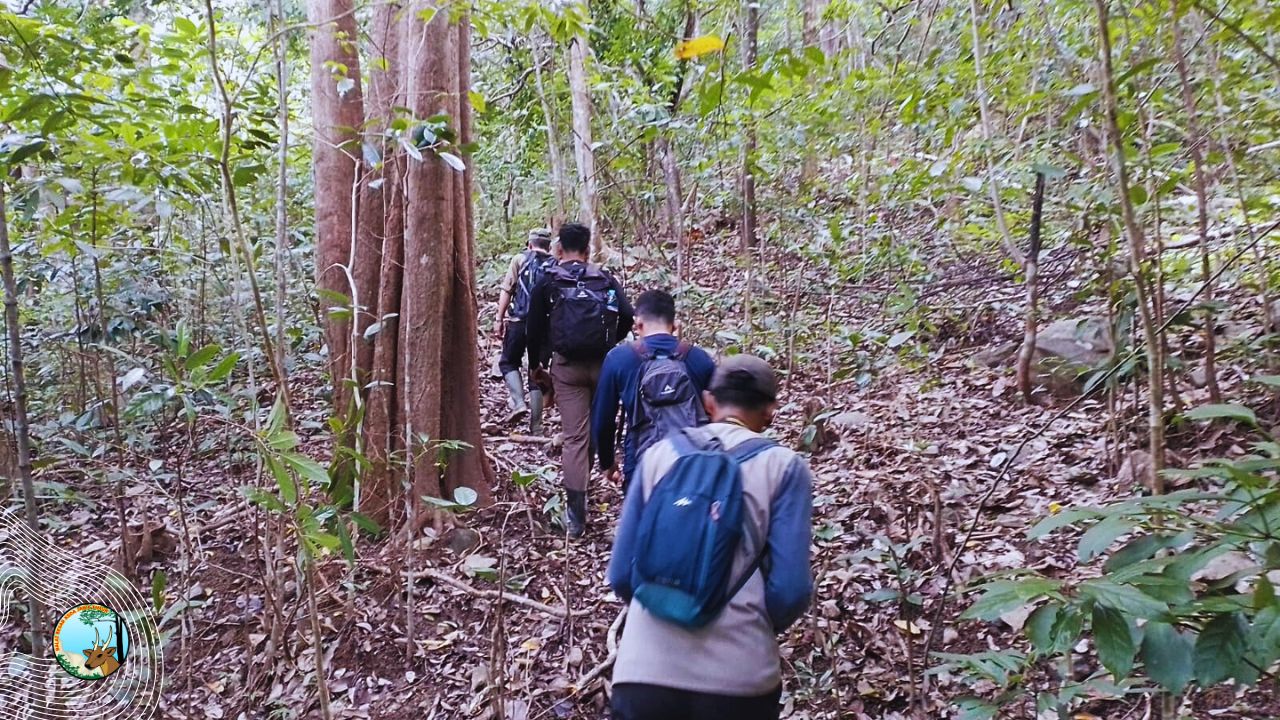 Menelusuri Habitat Babi Kutil dan Keanekaragaman Hayati di Suaka Margasatwa Pulau Bawean