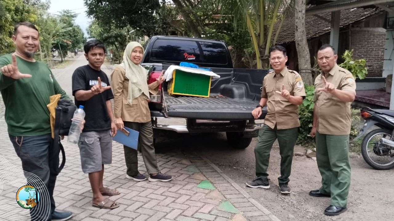 Evakuasi Monyet Ekor Panjang di Ngawi, Primata Menggemaskan yang Tetap Liar Saat Dewasa