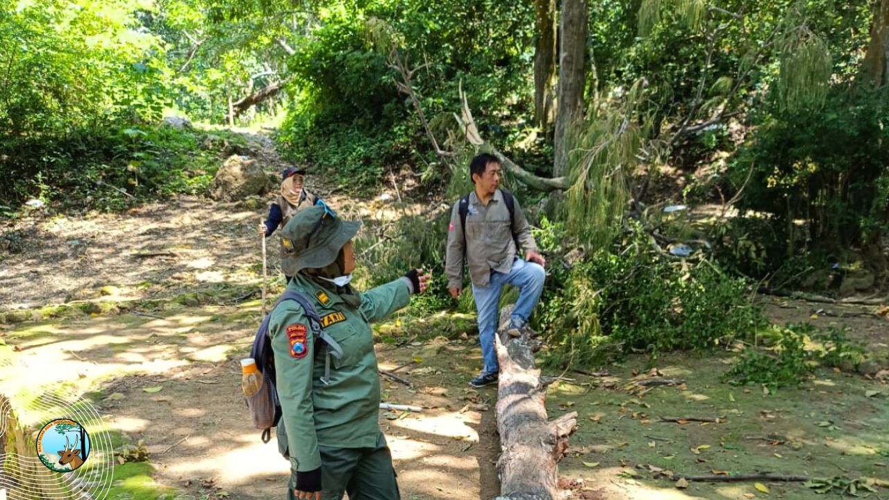 Menelusuri Jejak Konservasi di Cagar Alam Watangan Puger: Antara Pelestarian dan Tantangan