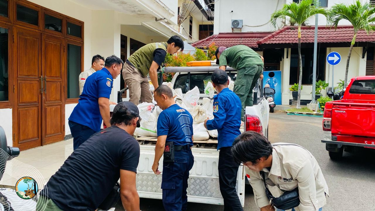 Musim Pancaroba, Petugas Damkar dan BBKSDA Jatim 'Panen' Ular di Tuban