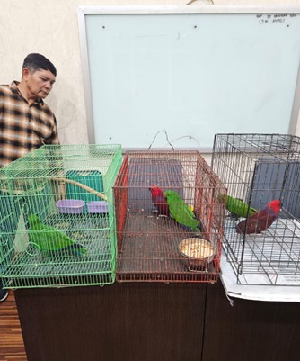 Kejaksaan Negeri Belawan Titip Barang Bukti Ke Balai Besar KSDA Sumatera Utara