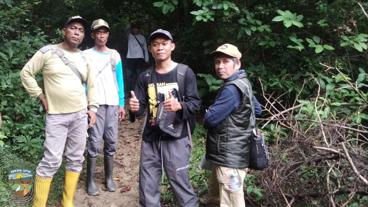 Menyusuri Pulau Kecil Nan Rapuh Tempat Burung Gosong Bermukim