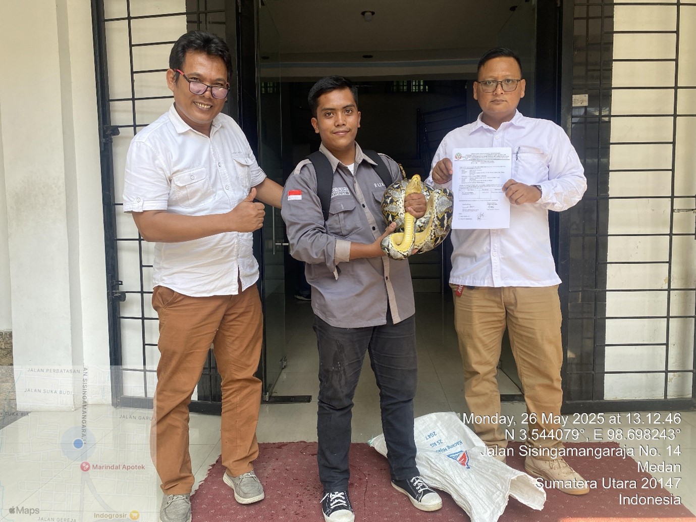 Warga Serahkan Ular Sanca Kembang Hasil Rescue Dari Rumah Warga