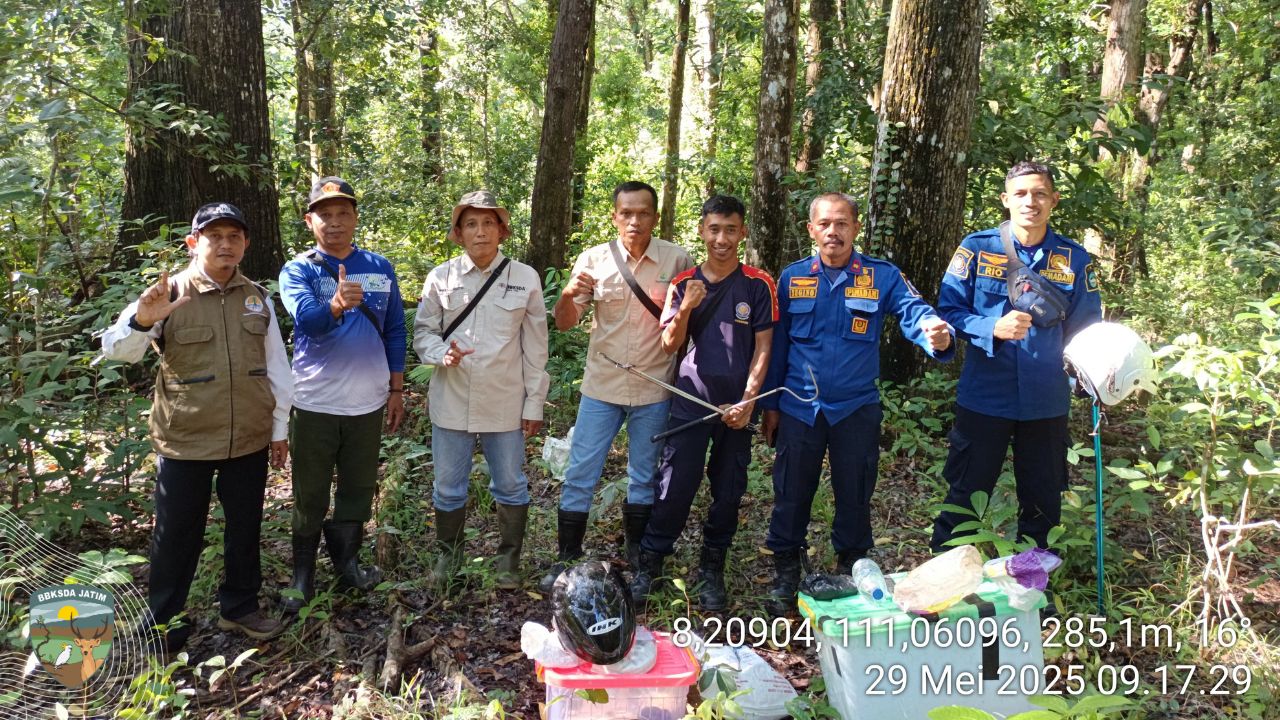 Trenggiling dan Ular-Ular Masuk Rumah Warga, Sempat Bikin Geger