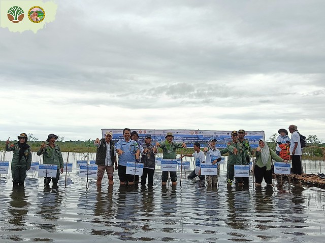 Penanaman Mangrove di Sabuhur Peringati Hari Lingkungan Hidup Sedunia