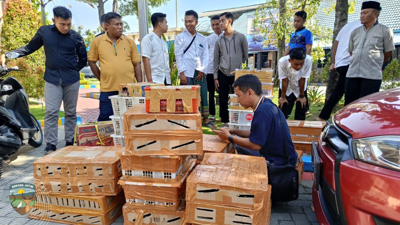 Ratusan Burung diselundupkan dari Kalimantan, Berhasil Digagalkan di Tanjung Perak Surubaya