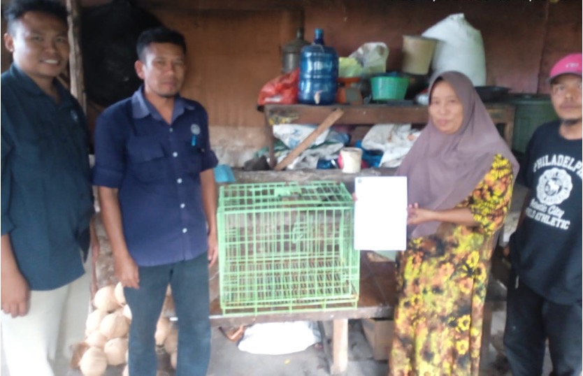 Warga Sipirok Serahkan Satwa Pemalu Dengan Sukarela