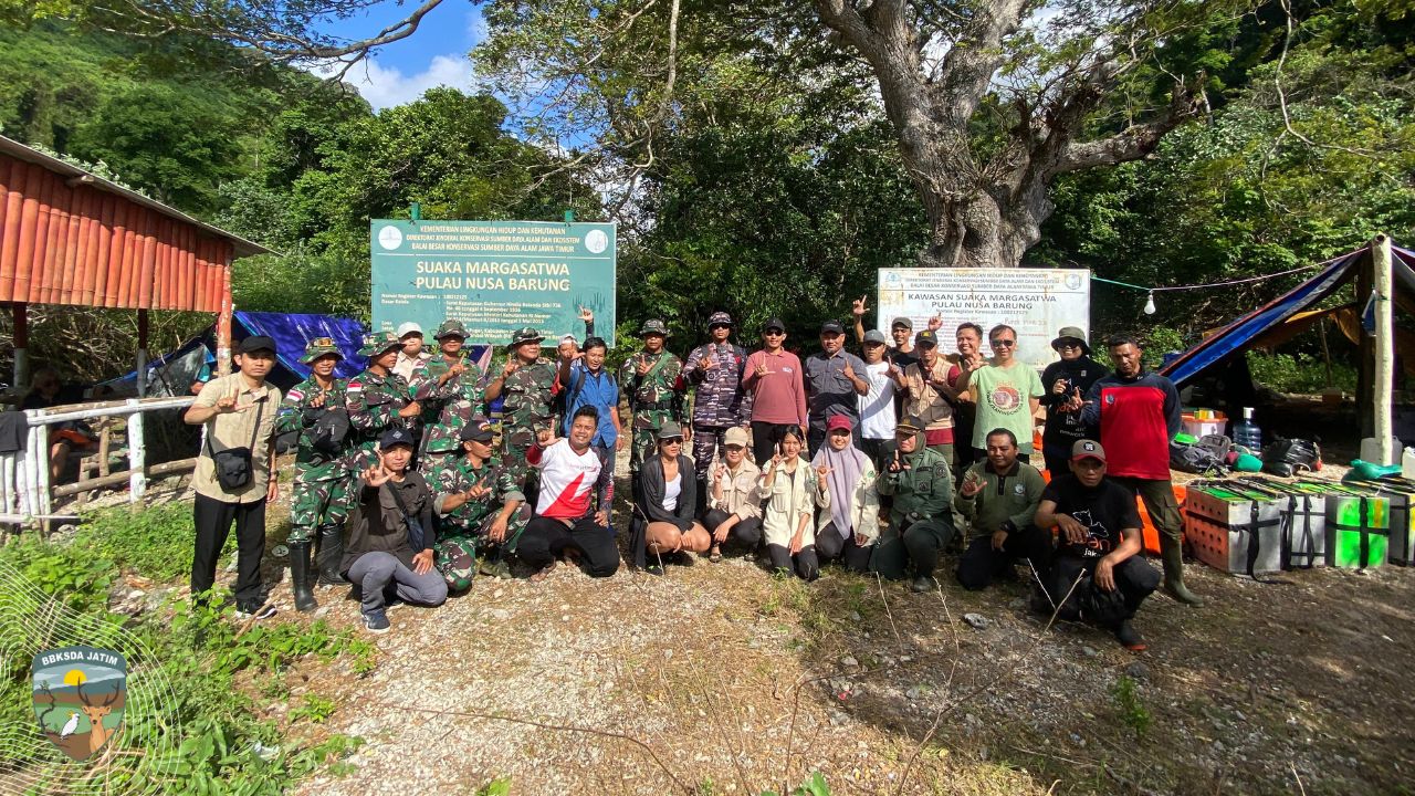 42 Monyet Ekor Panjang Kembali ke Alam Liar di Nusa Barung, Jadi Harapan Baru