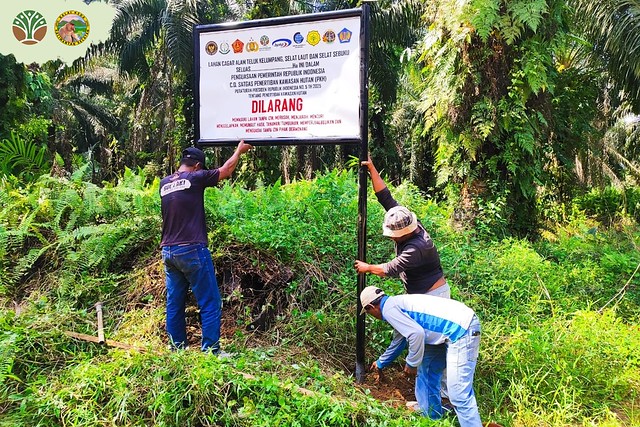 Penertiban Kawasan Hutan di Tiga Cagar Alam Kabupaten Kotabaru