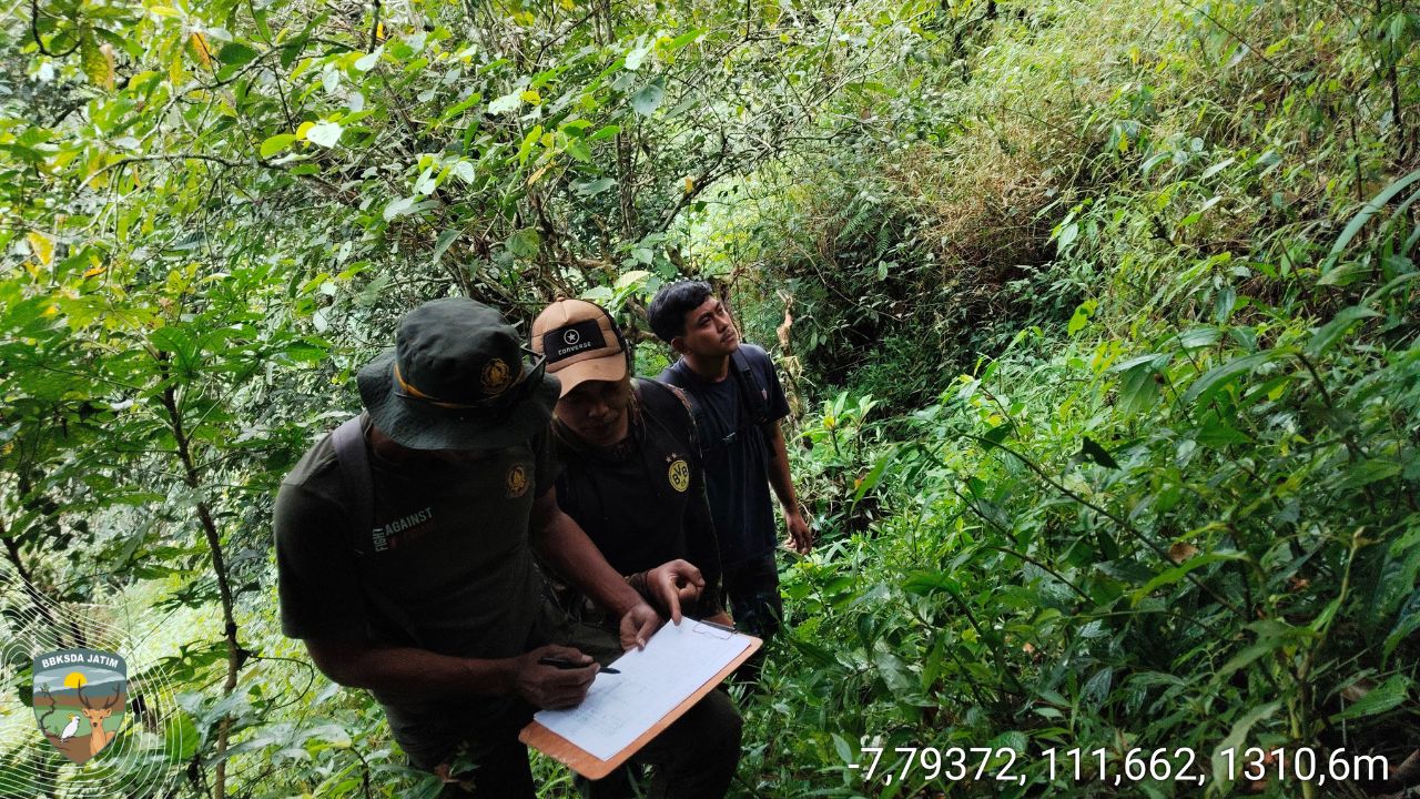 Smart Partol Dibalik Kabut Tipis Cagar Alam Gunung Picis