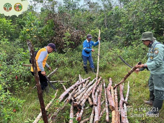 Patroli Bersama MMP Gagalkan Perambahan di Suaka Margasatwa Pelaihari