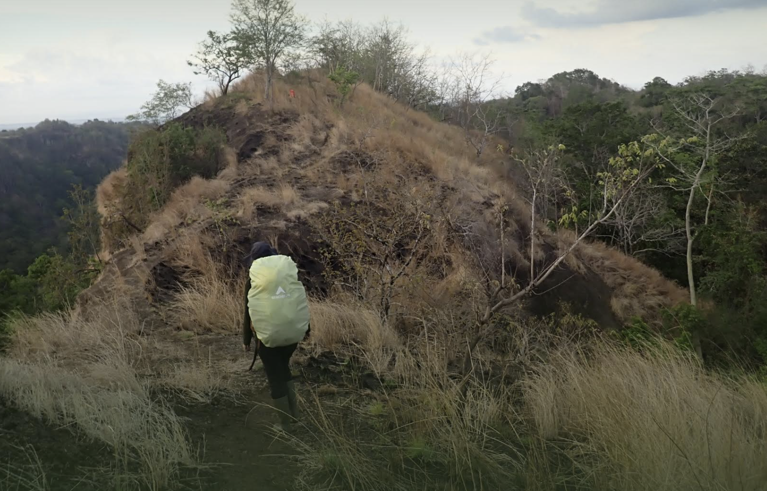 Tiga Kamera Trap Raib, Terungkap dalam Upaya Pencarian Jejak Macan Tutul Jawa di Ijen-Raung