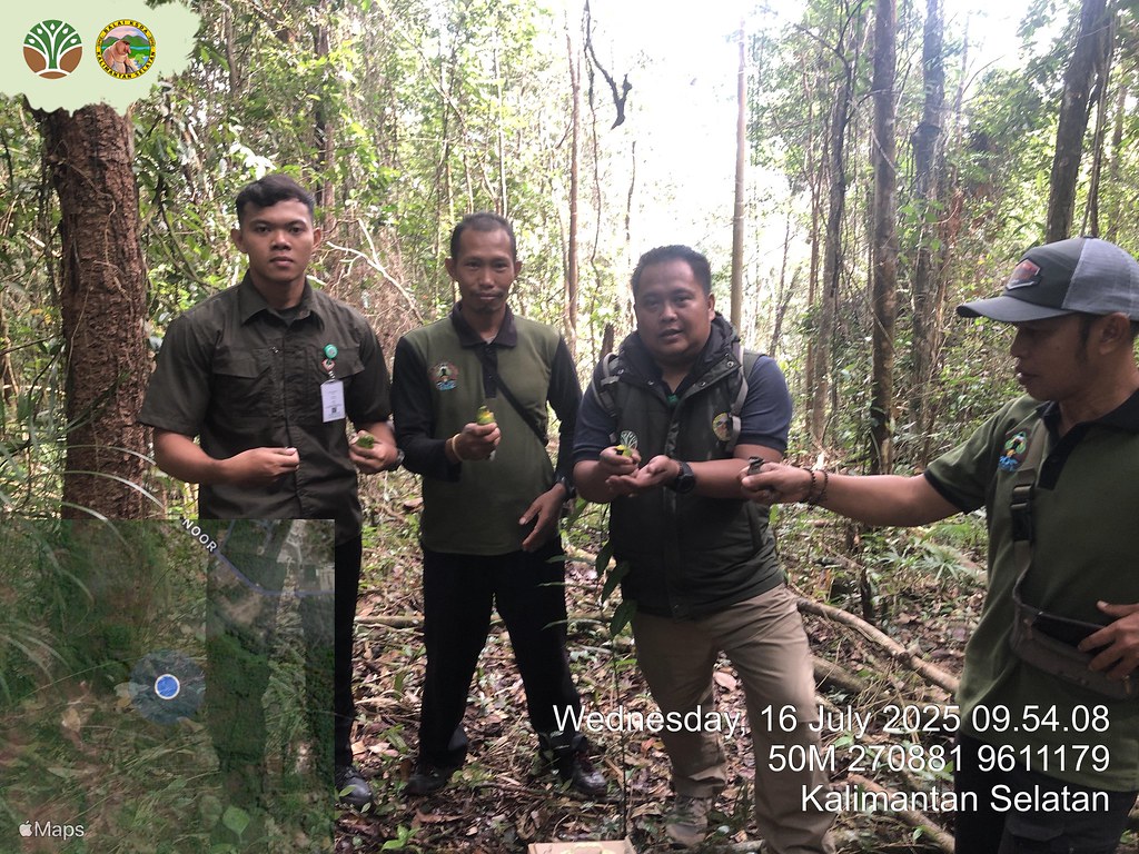 Balai KSDA Kalsel Gagalkan Pengiriman Ilegal Satwa Liar di Pelabuhan Trisakti