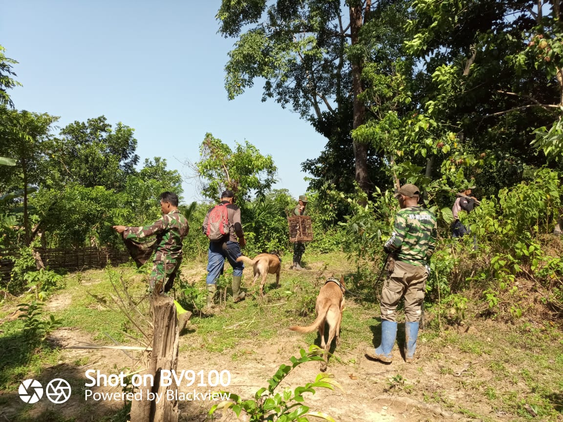 Operasi Sapu Bersih Jerat Tim Reaksi Cepat BTN Ujung Kulon bersama Tim K-9