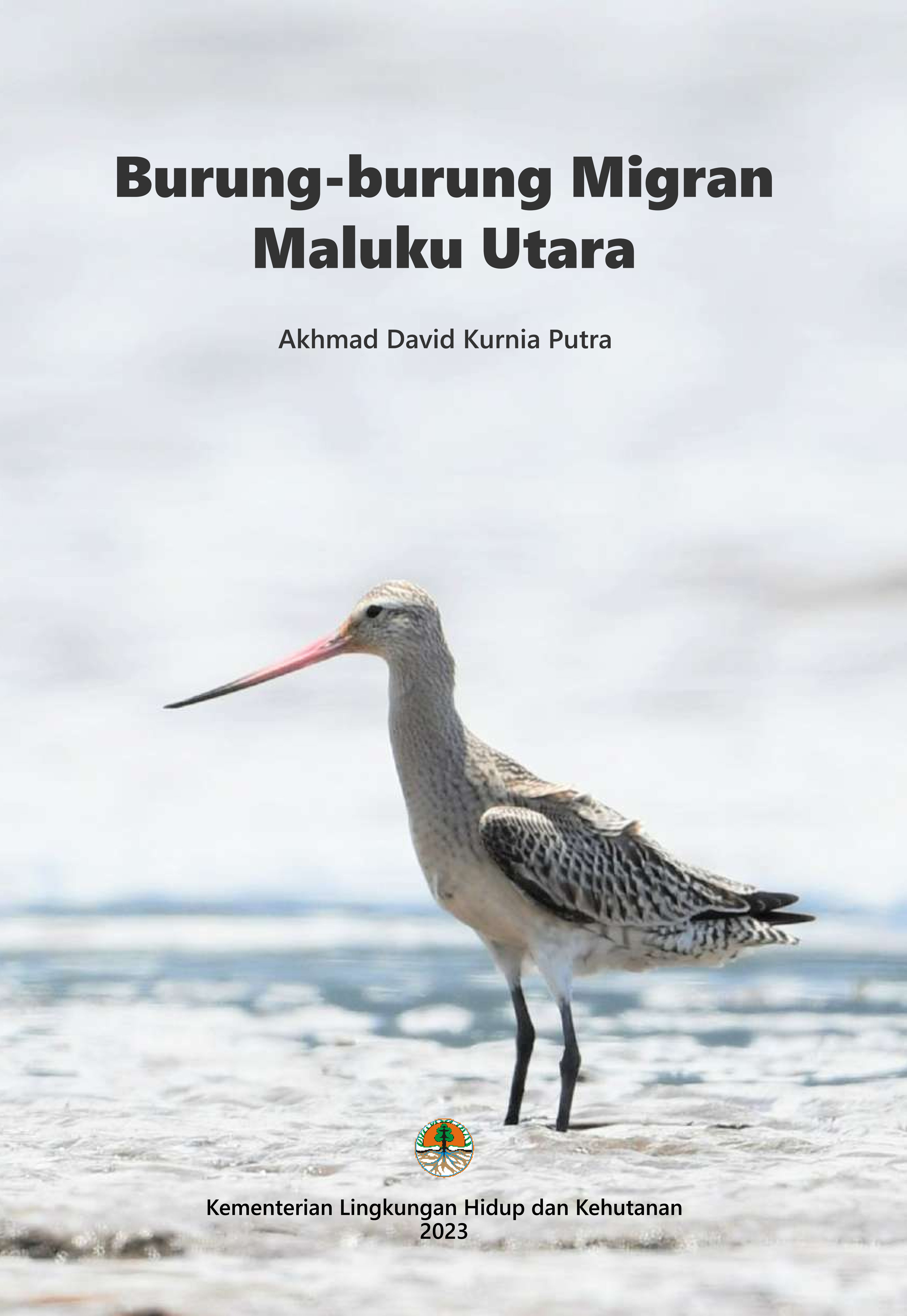 Burung-burung Migran Maluku Utara